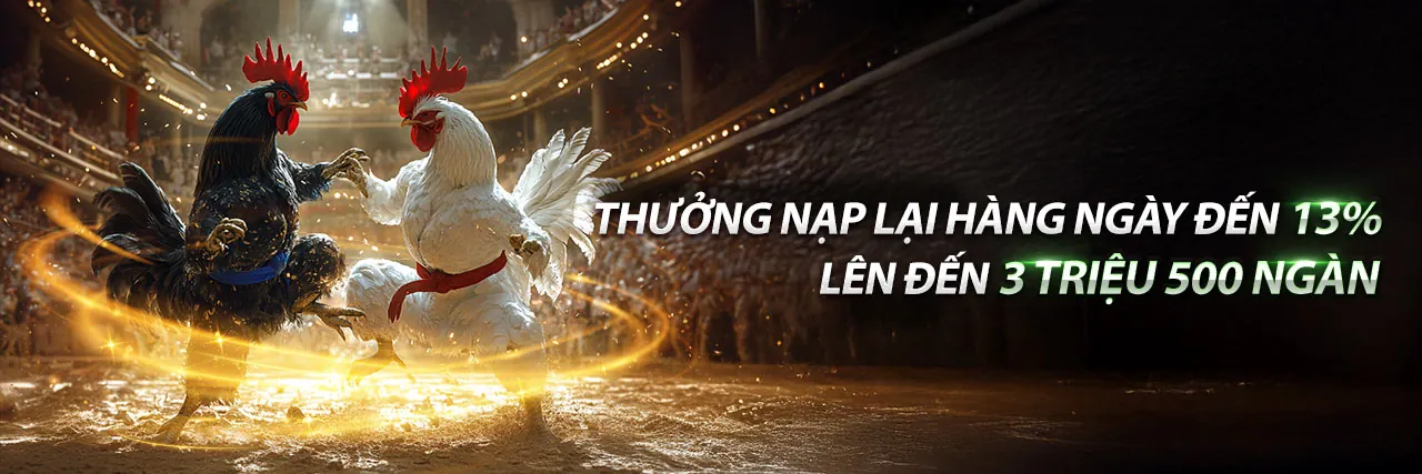 Đá gà trực tuyến kịch tính tại haybet trang chủ